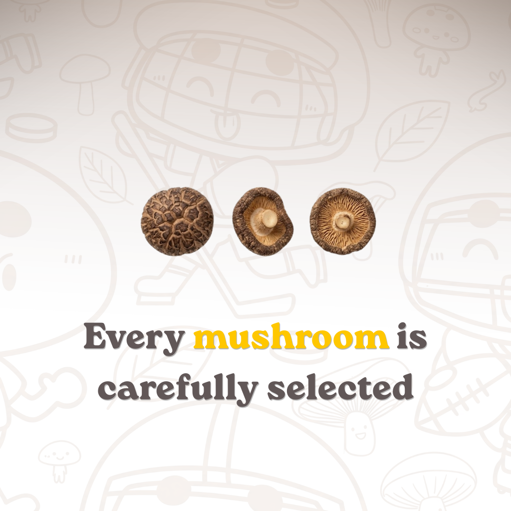 Premium Vacuum-Fried Mix Mushroom (4-Pack / 6-Pack)