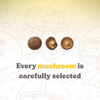 Premium Vacuum-Fried Shiitake Mushroom - Original (4-Pack / 6-Pack)
