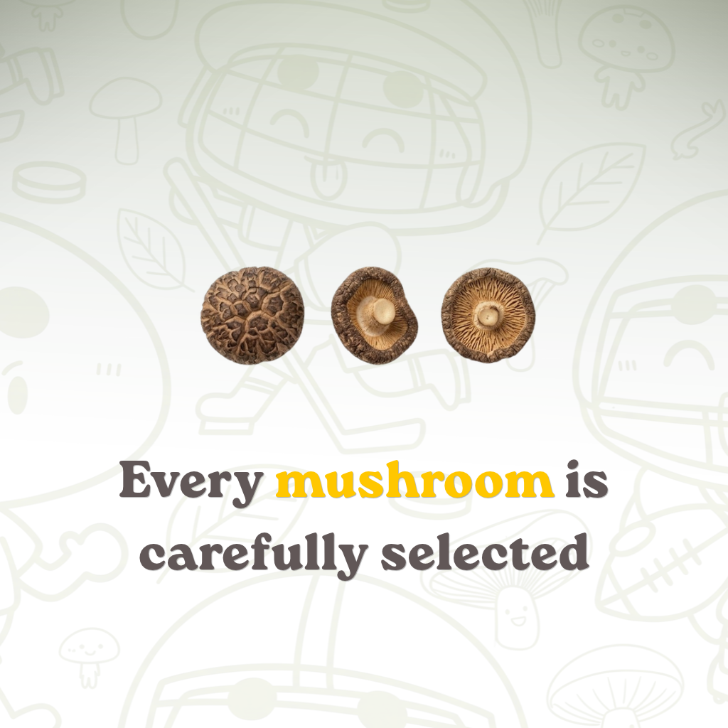 Premium Vacuum-Fried Shiitake Mushroom - Wasabi (4-Pack / 6-Pack)