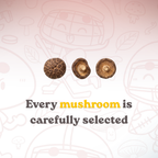 Premium Vacuum-Fried Shiitake Mushroom - Spicy (4-Pack / 6-Pack)