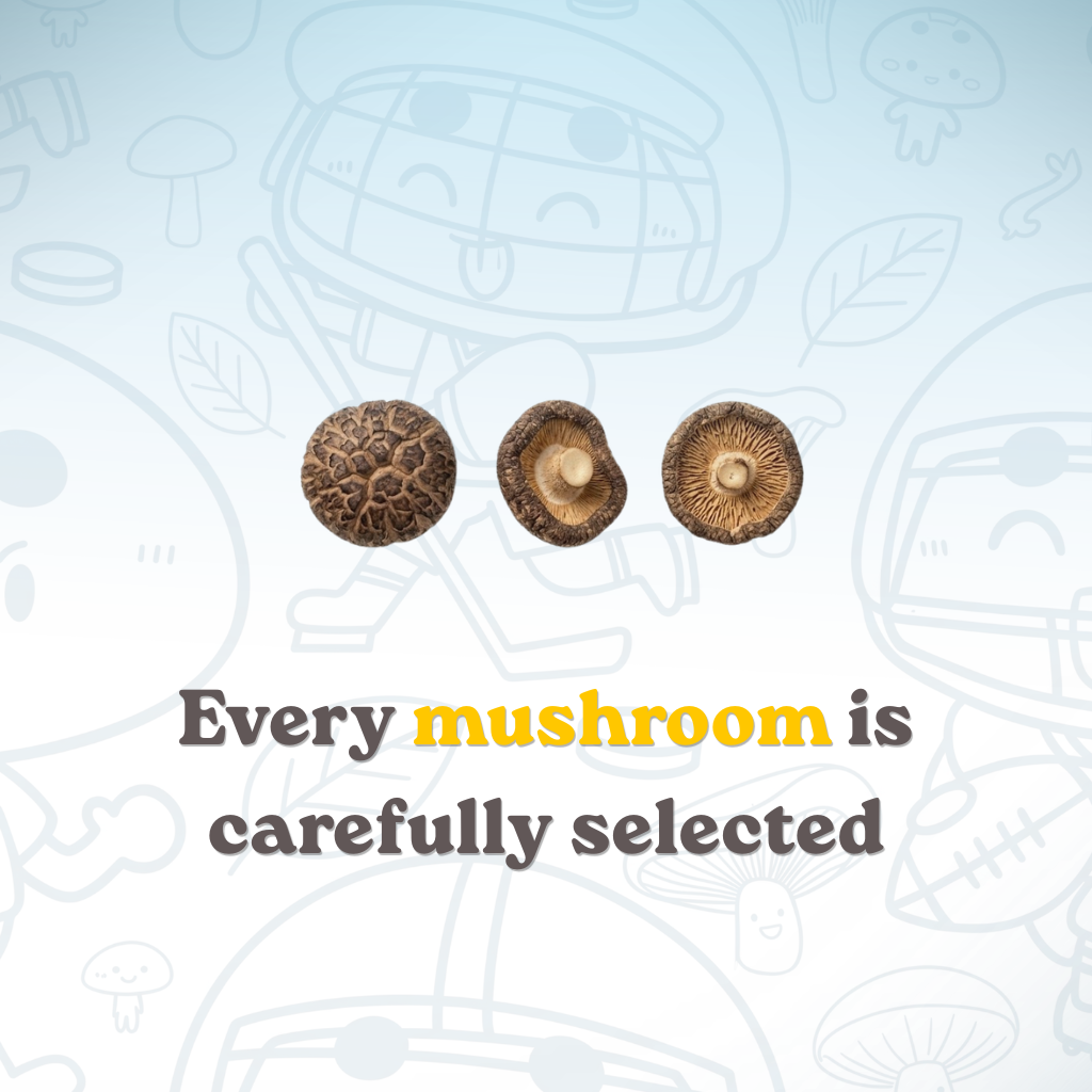 Premium Vacuum-Fried Shiitake Mushroom - Sea Salt (4-Pack / 6-Pack)