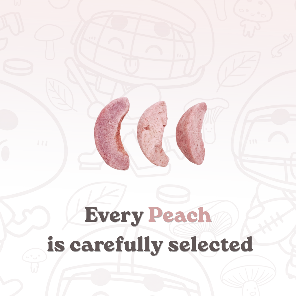 Premium Freeze-Dried Peach | 1 bag