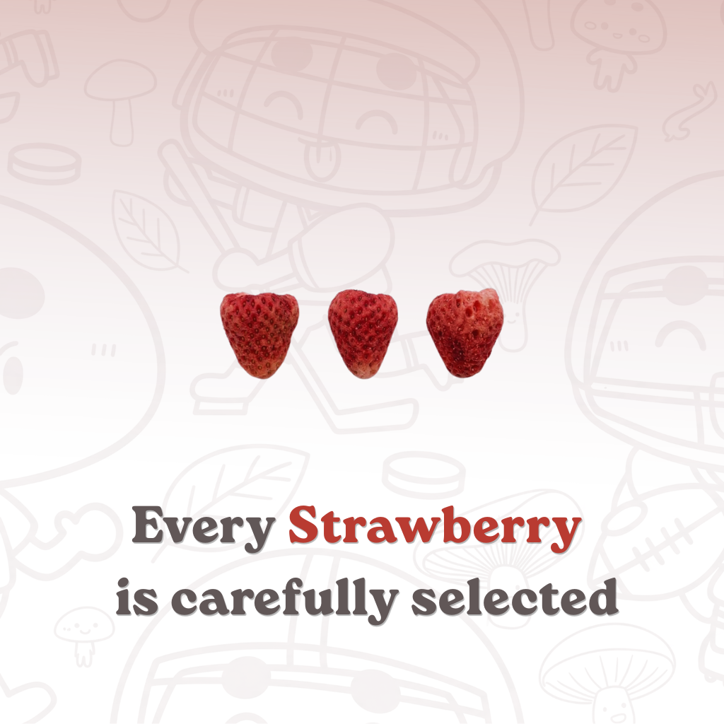 Premium Freeze-Dried Strawberry (4-Pack / 6-Pack)