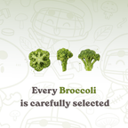Premium Vacuum-Fried Broccoli | 1 bag